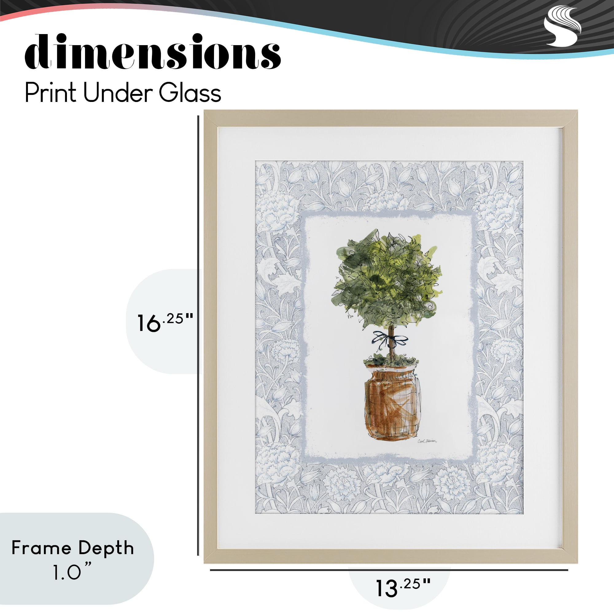 Stupell Industries Potted Topiary with Ribbon Birch Framed Print Under Glass, design by Carol Robinson