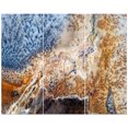 thumbnail image 2 of Design Art - China Moss Agate, 2 of 3