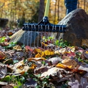 THE GROUNDSKEEPER II Shrub Rake 36-inch Lightweight Fiberglass Handle, 9-inch Head, Durable Steel Tines for Gardening, De-thatching or Professional Landscaping