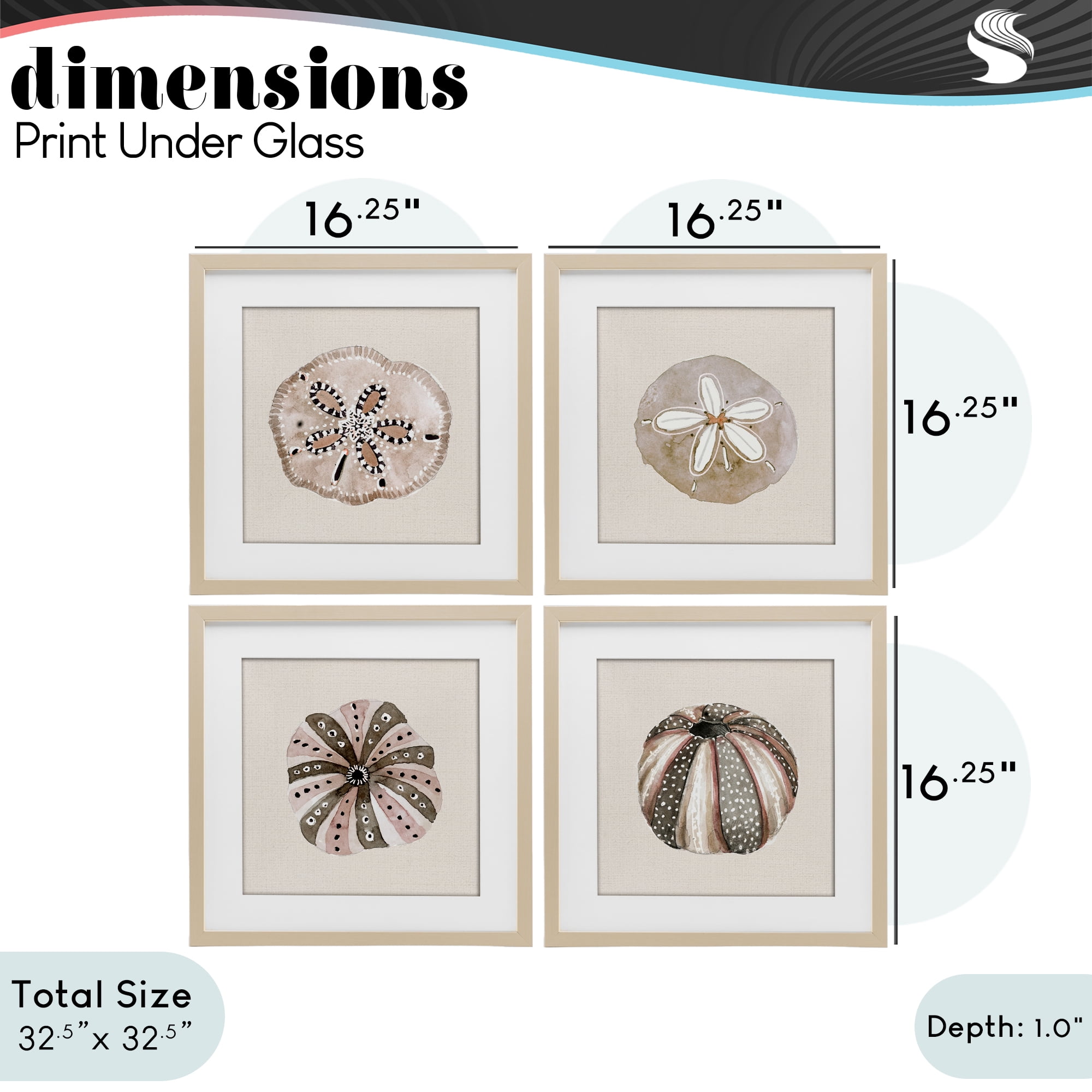 Stupell Industries Taupe & Beige Sea Creatures 4 Piece Birch Framed Print Under Glass Set, design by Lanie Loreth