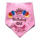 thumbnail image 4 of Gato y perro falda de cumpleaños partido tire bandera bufanda sombrero decoración, 4 of 5