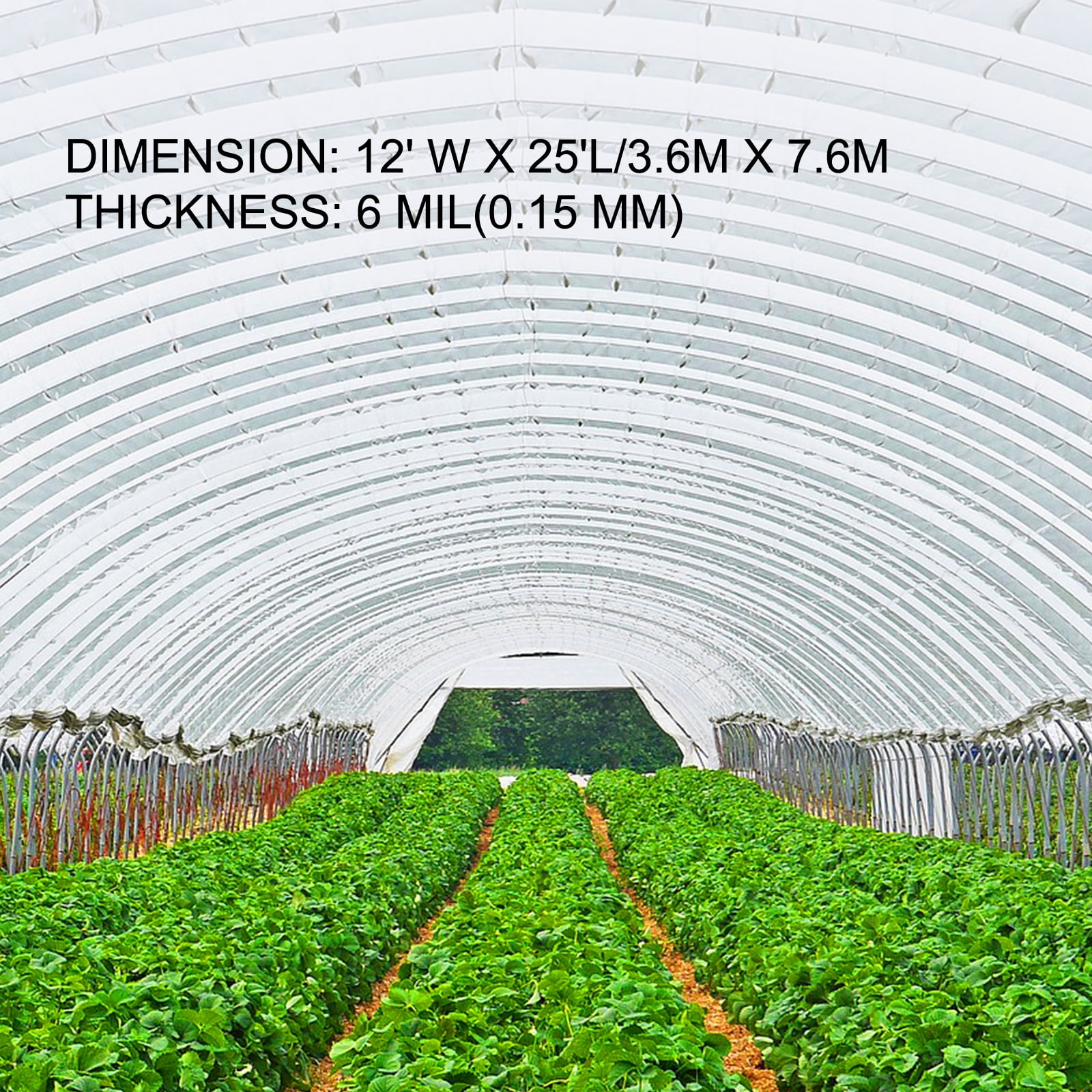KFFKFF Greenhouse Film 12 x 25 ft, 6 Mil Polyethylene Cover, UV-Resistant Clear Plastic for Temperature Control, Durable and Protective Greenhouse Plastic Sheeting
