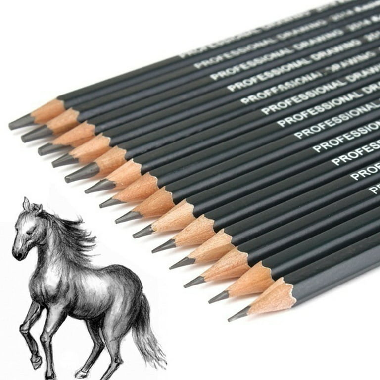 Sketching Pencils 14 Pieces Professional Graphite Pencil Set for Drawing 6H 4H 2H HB 1B 2B 3B 4b 5b 6b 7b 8b 10B 12b Art Travel Set - Shading Pencils