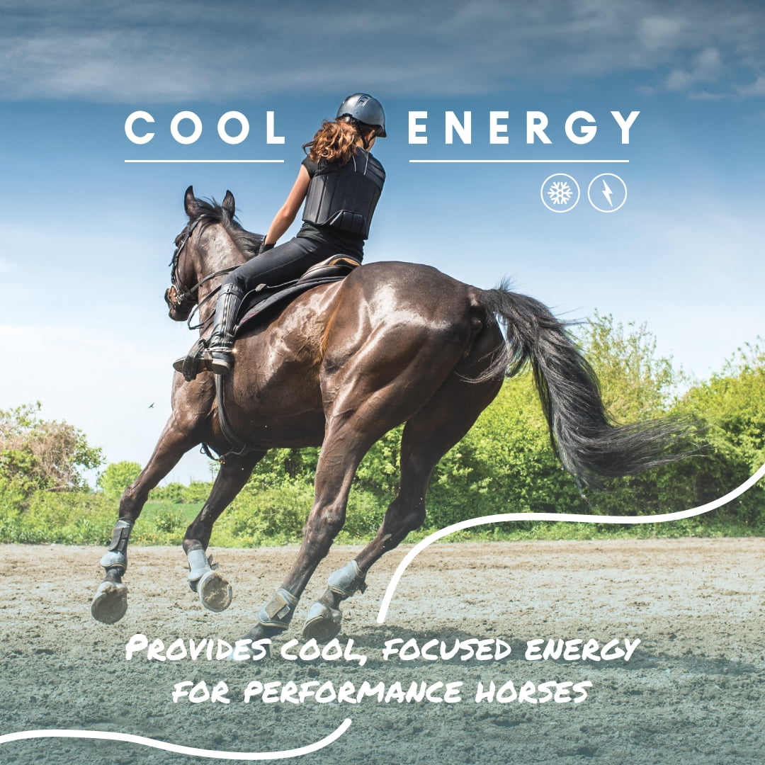 Manna Pro Start to Finish Cool Calories 100, Equine Dry Fat Supplement, 8 lbs