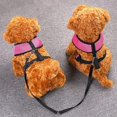 thumbnail image 5 of 1pc Double Leash for 2 Dogs - Adjustable Double Pet Training Leash, Double Slot, Anti-Tangle, Double Dog Leash, Training Leash for Two Dogs, Black, 5 of 5