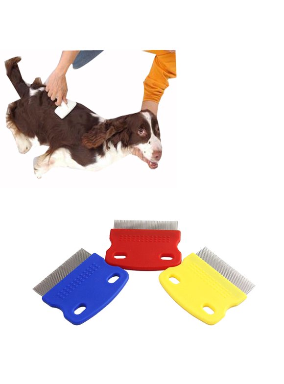 Dog Flea Combs in Dog Flea and Tick