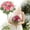 A, variant on 11.8inch Artificial Peony Flower, Silk Peonies Bouquet Flowers Bulk, Boho Flowers Arrangements for Vase Spring Centerpiece Wedding Decoration Home Party Decor