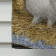 thumbnail image 4 of Carolines Treasures ASA2076CHF Barn Owl Chicks Flag Canvas House Size, 4 of 4