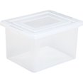 IRIS USA Letter and Legal Size Plastic File Box