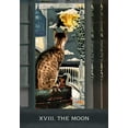 thumbnail image 2 of Grimalkin's Curious Cats Tarot : An 80-Card Deck and Guidebook (Cards), 2 of 2