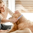 thumbnail image 4 of This Comb Is Equipped With Fine Teeth Specially Designed For Grooming The Hair Of Cats And Dogs., 4 of 6