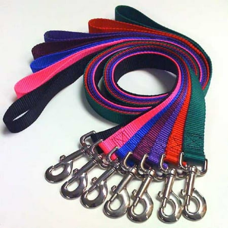 Majestic Pet 1'' x 6' Lead in Multiple Colors