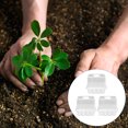 thumbnail image 4 of Weiweiguan 3Pcs Useful Germination Box Plant Succulent Flower Germination Tray With Cover, 4 of 7