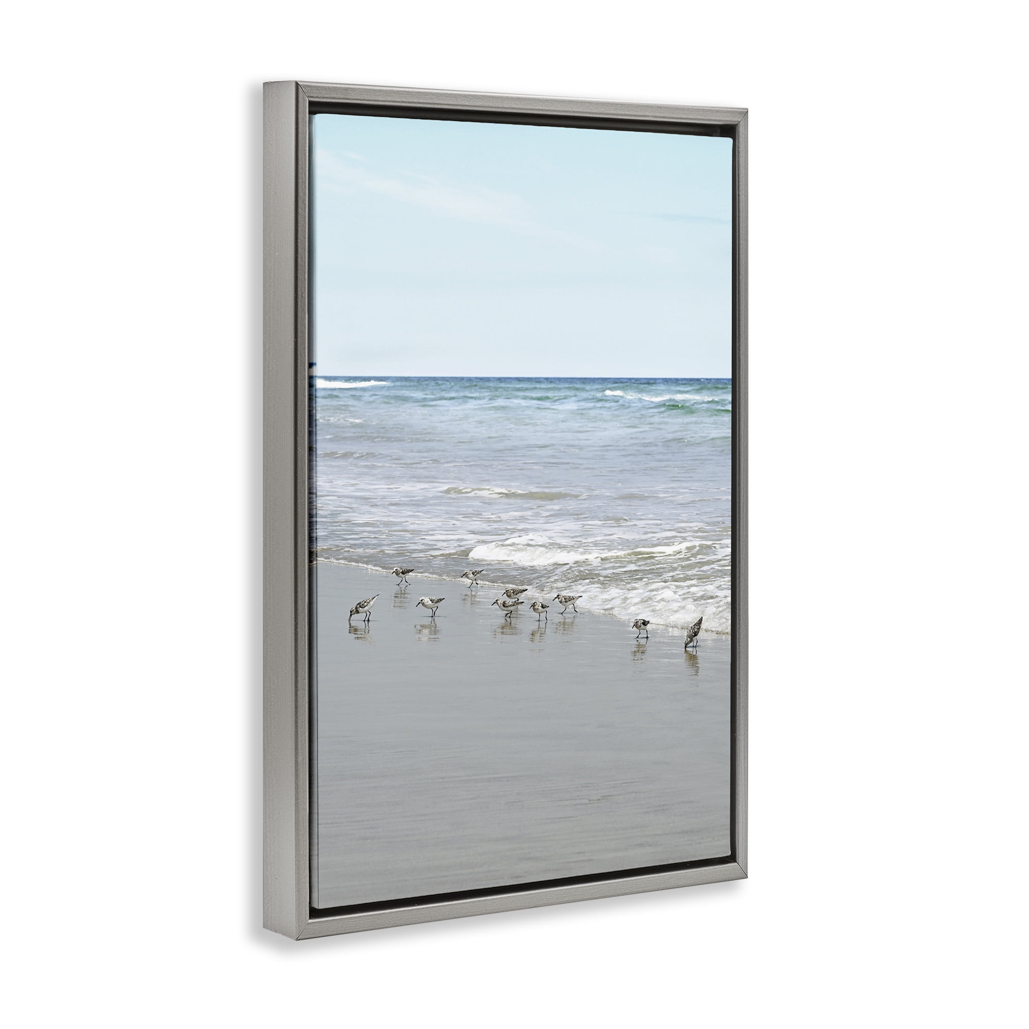 Stupell Industries Energetic Beach Birds Nautical & Beach Photography Gray Floater Framed Canvas Art Print Wall Art, 17 x 25