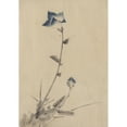 thumbnail image 2 of Katsushika Hokusai 18x24 Black Ornate Framed Double Matted Museum Art Print Titled: Blue Flower Blossom and Bud at the End of a Stalk (1830-1850), 2 of 5