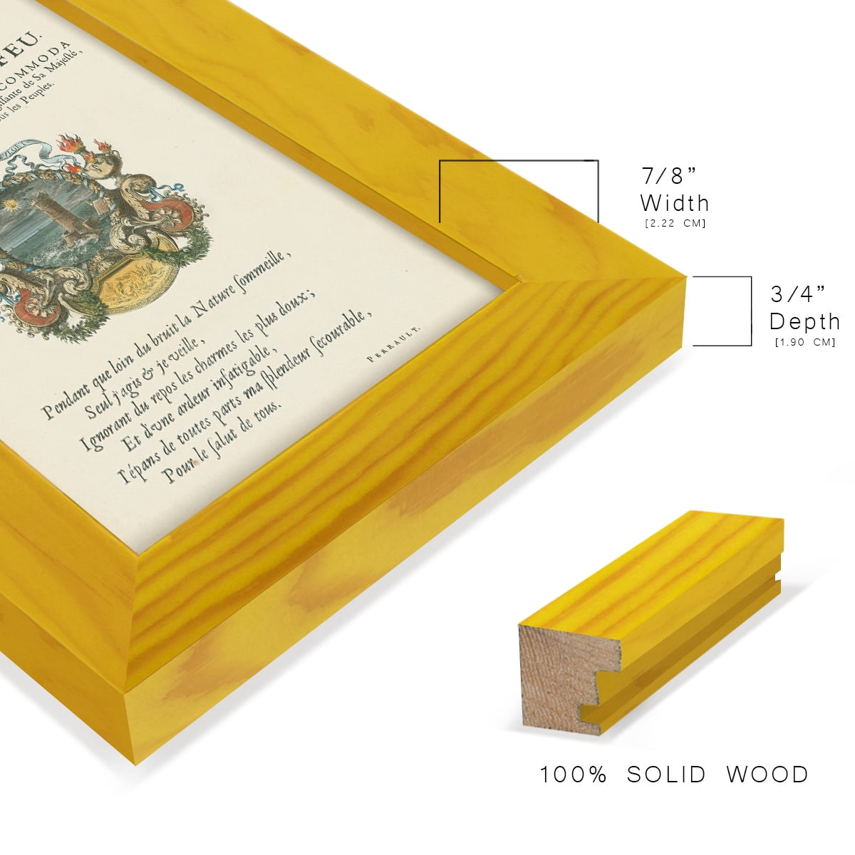 Printed Embellished Bookplate VIII - Framed Print w/glass - Sunflower Yellow