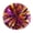 Gold & Purple, variant on Pebbuoy Cheerleading Bouquet Metallic Foil Hand Flowers Kids Teens Sports Team Ball Game Cheerleader Streamers Pom Poms
