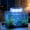 White, variant on Small Aquarium Led Light Aquarium Lights for Tank Multicolor Led Tank Light Aquarium Lights for Tank for Freshwater Aquarium Aquarium Accessories Home Decor Happy 2026!