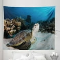 thumbnail image 1 of Under the Sea Tapestry, Underwater Sea Animal on Coral Reef in Red Sea Egypt Amphibian Exotic Nature, Fabric Wall Hanging Decor for Bedroom Living Room Dorm, 5 Sizes, Brown Coconut Aqua, by Ambesonne, 1 of 1