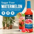 thumbnail image 2 of Syruvia Watermelon Sugar Free Cocktails Syrup 25.4 Fl. Oz With Pump, 2 of 7