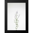 thumbnail image 2 of Bradley, Felicity 11x14 Black Modern Framed Museum Art Print Titled - Simple Stems III, 2 of 5