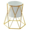 thumbnail image 4 of BEADCEST Maceta De Hierro Dorado Resistente Para Interior Y Exterior, 4 of 7