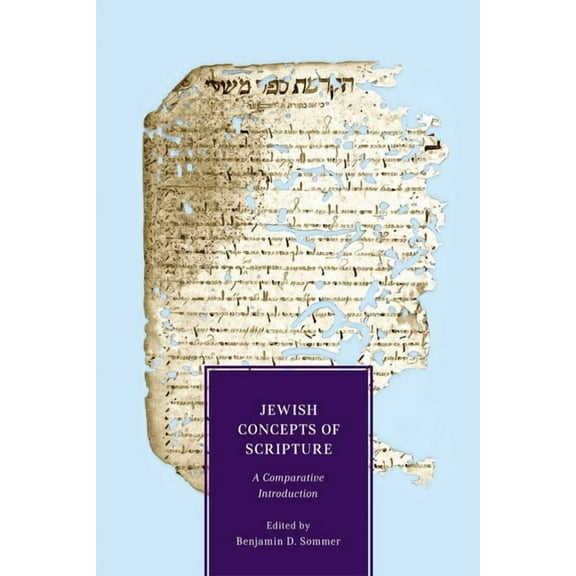 Jewish Concepts of Scripture: A Comparative Introduction, (Hardcover)