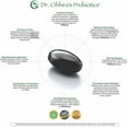thumbnail image 5 of Dr. Ohhira’s Probiotics Professional Formula with 5 Year Fermented Prebiotics, Live Active Probiotics and The only Product with Postbiotic Metabolites, 60 Capsules, 5 of 6