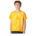 thumbnail image 1 of Dyenomite - Tee-Shirt Cyclone Jeune, 1 of 1