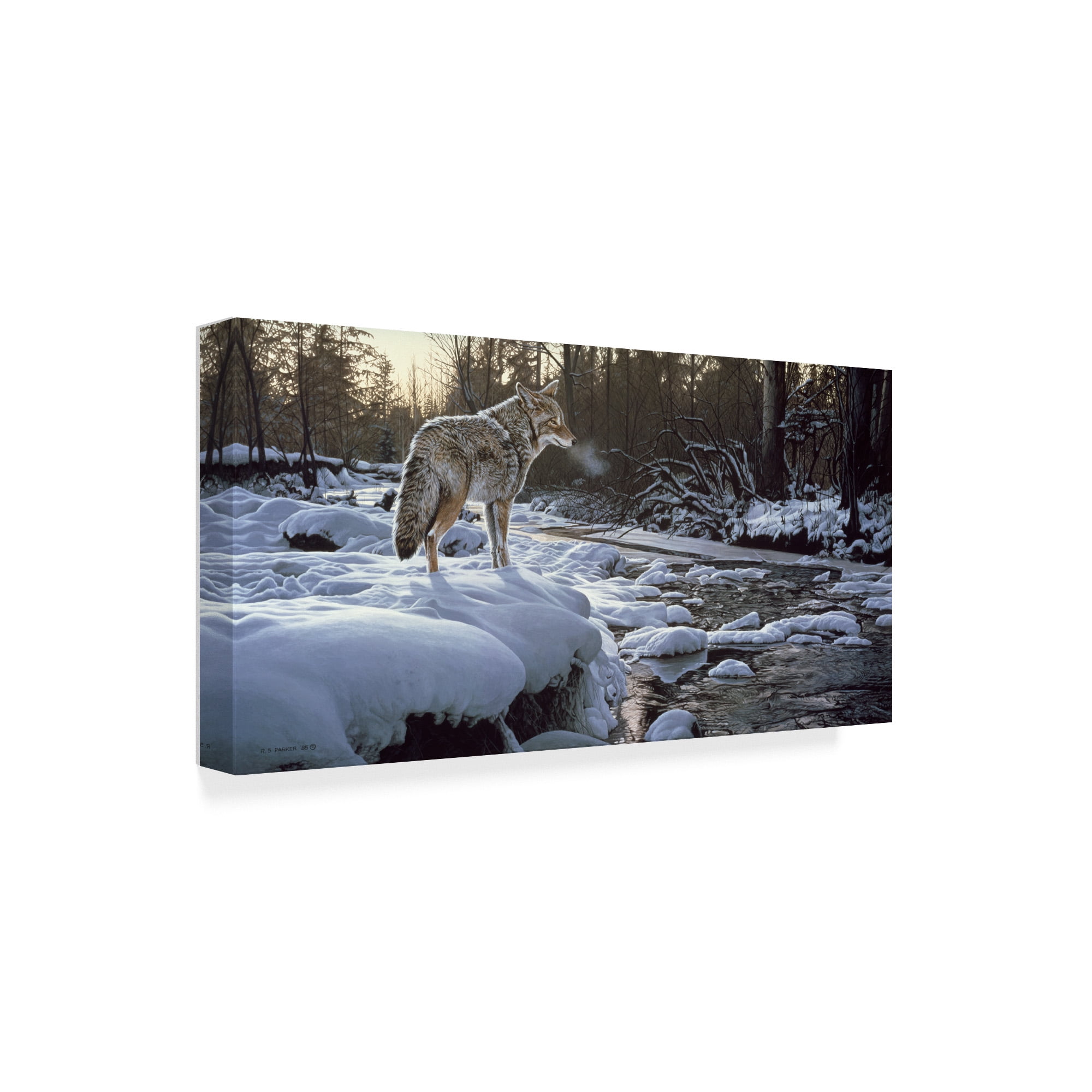 Trademark Fine Art 'Winter Creek Coyote' Canvas Art by Ron Parker