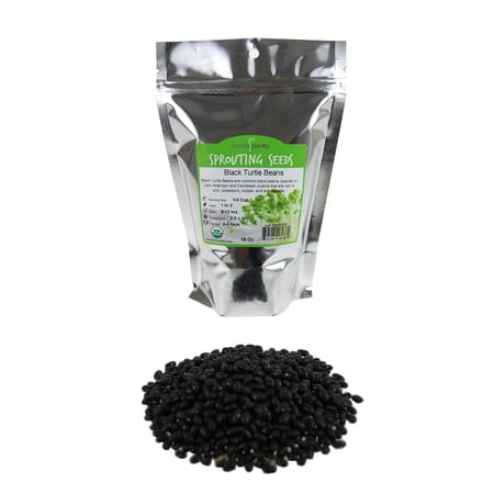 Organic Black Turtle Beans -1 Lb- Called Black Bean & Spanish Black Bean - Seed Sprouting Sprouts, Cooking, Food Storage Product Name