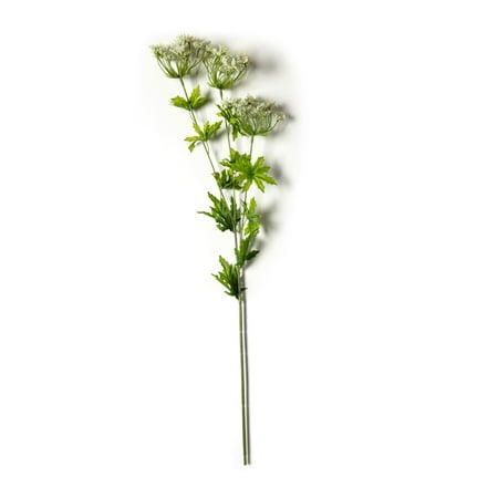 UPC: 0886946846786 | White Queen Anne s Lace Spray by Ashland®