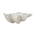 thumbnail image 5 of Textured Shell Decorative Bowl for Coffee Centerpiece Table Accent - Wavy Edge Design for Home, Kitchen Counter, or Catchall Dish - Coastal Basin Accent for Key and Candy Bowl - 5", Ivory & Tan, 5 of 12