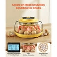 thumbnail image 5 of Auto Egg Incubator with Turner, Candler & Climate Control, 5 of 8