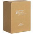 thumbnail image 3 of Pavilion Gift Company 03009 Figura decorativa de ángel de agradecimiento, 6 pulgadas, color beige, 3 of 4