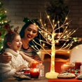 thumbnail image 2 of 2 Pcs 2ft Lighted Birch Tree Decor with Timer, USB, Battery Powered Artificial Branch Tree with 8 Modes, Remote Control, Tabletop Tree Light for Christmas Decor Indoor(Classic Style) Warm White Warm, 2 of 5