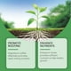 thumbnail image 5 of Estimulador Líquido de Enraizamiento Solución Iniciadora de Plantas 50ml | Promueve el rápido crecimiento y adaptación de las raíces | Extracto natural de algas marinas | Vitamina B1 | Seguro para, 5 of 7