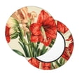 thumbnail image 2 of Lsque Vibrant Amaryllis Flowers Pattern Round Bar chair cushion covers Velvet Fabric Premium Comfort Protects from Scratches and Stains for 14-17 Inch Chair-13 inch, 2 of 7