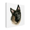 thumbnail image 2 of Trademark Fine Art 'Humans Best Friend II' Canvas Art by Grace Popp, 2 of 4