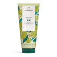 thumbnail image 1 of THE BODY SHOP OLIVE BODY LOTION, 1 of 1