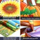 thumbnail image 4 of Fondo de Fotografía de Acción de Gracias, Fondo de Foto de Calabaza, Decoración de Cosecha de Otoño, Fondo de Espantapájaros Grande, 4 of 5