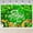 7x5ft, variant on Happy St Patricks Day Banner Backdrop Irish Holiday Party Background Decorations St Patricks Day Shamrocks Pot of Gold Coins Banner Photo Booth Props (6x3.6ft)