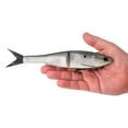 thumbnail image 2 of Berkley PowerBait® Nessie Fishing Bait, Hickory Shad, 9 in, Soft Swimbait, 2 of 3