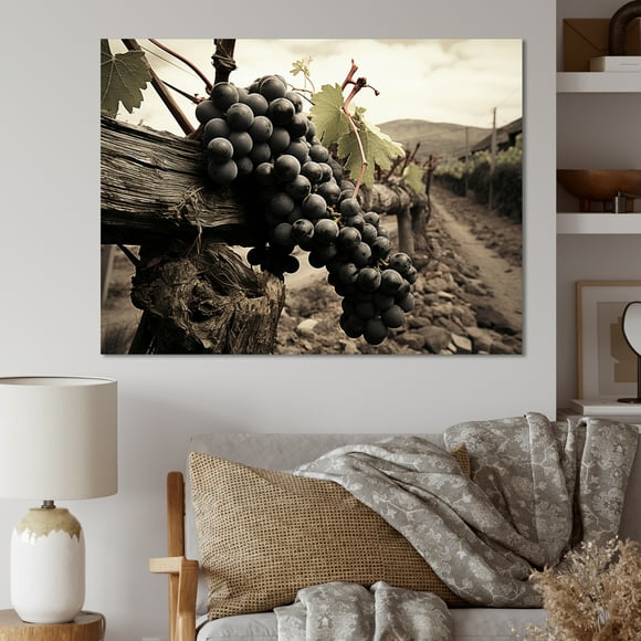 Designart Grey Traditional Canvas wall art, Vineyard Wall Art, Captivating Vintage Charm at the Winery , Vineyard Wall art decor, 44x34 inches