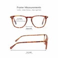 thumbnail image 6 of Compliments by DIFF Eyewear Griffin Blue Light Reading Glasses Amber Tortoise +1.0, 6 of 6
