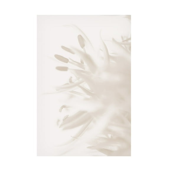 Trademark Fine Art Pictufy Studio Flower Beige 2 Canvas Wall Art