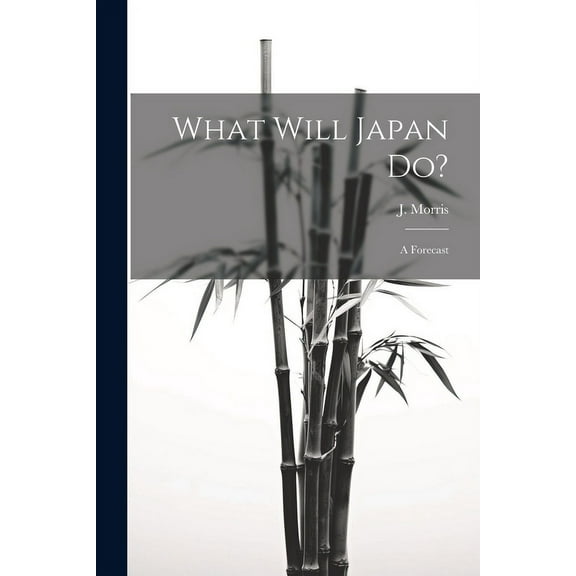 What Will Japan Do? : A Forecast (Paperback)