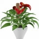 thumbnail image 3 of Plantas De 40Cm, Varilla De Coco Para Flores, Varilla De Coco, Poste De Soporte Para Plantas, Soporte Para Plantas Trepadoras De Interior matsuzay HA042136-01, 3 of 6