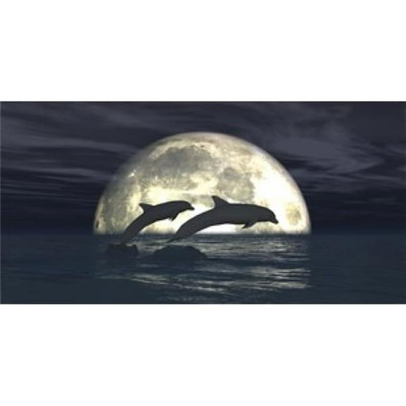 212 Main LPO827 Dolphins in Moon Light Photo License Plate