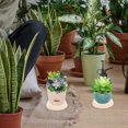 thumbnail image 4 of HEALEEP 10Ud Redonda Para Macetas Beige Plástico Durable Para Plantas En Hogar, 4 of 7